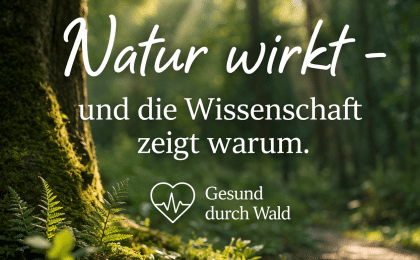 Natur wirkt und die Wissenschaft zeigt warum. Heilwald Göttweig